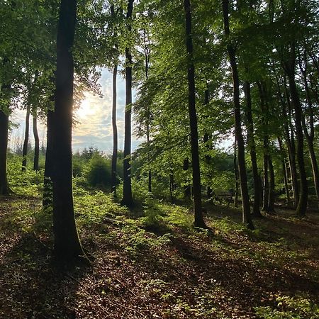 Fruehstueckspension Zur Krone Bad Endbach Екстер'єр фото